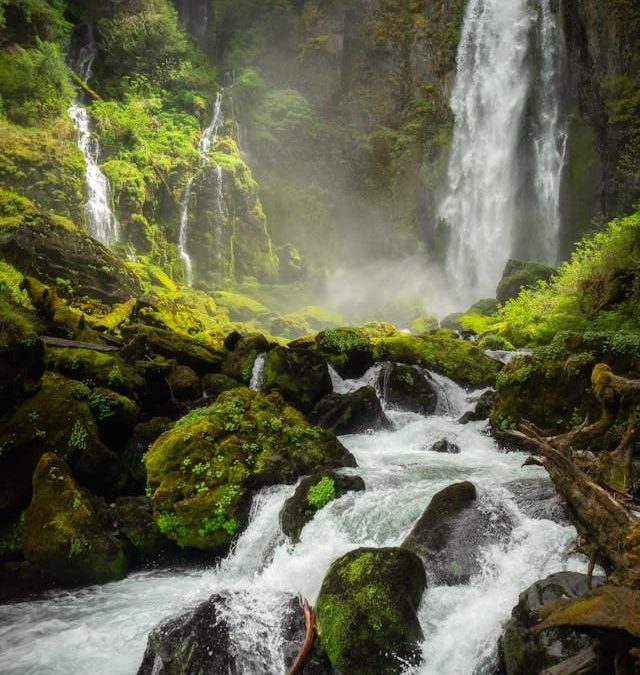 EL AGUA, FUENTE DE VIDA